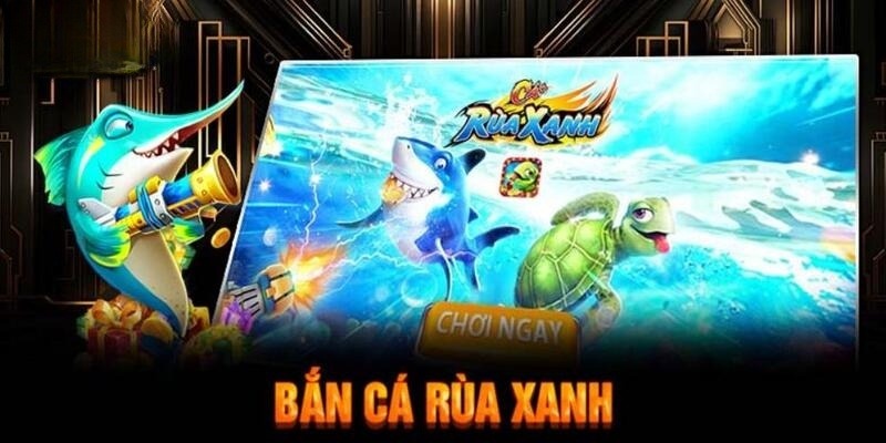 Kinh nghiệm chơi săn cá rùa xanh độc đáo cho người mới